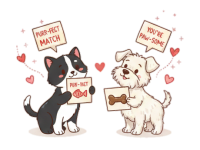 a valentines day gift